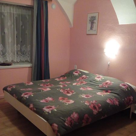 Božanov Country House U Potoka旅馆 外观 照片