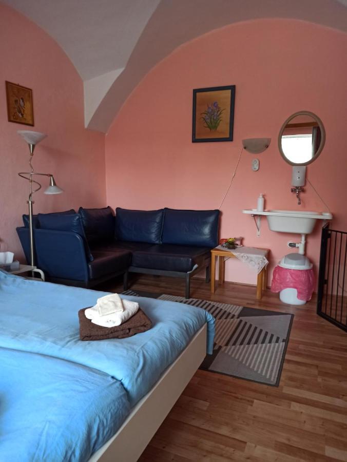 Božanov Country House U Potoka旅馆 外观 照片